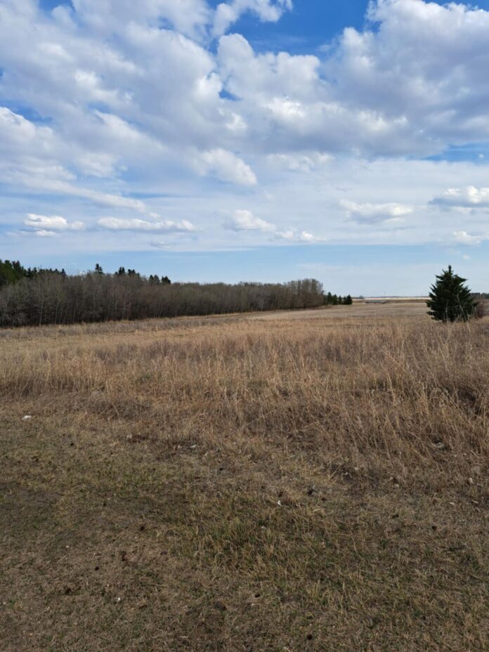 Vegreville